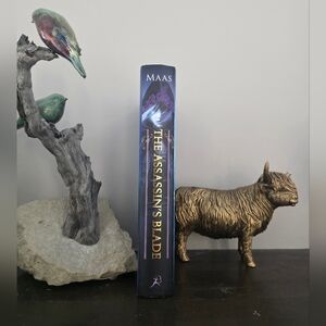 The Assassin's Blade Book by Maas
